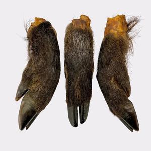 Hairy wild boar trotters, natural dog treat