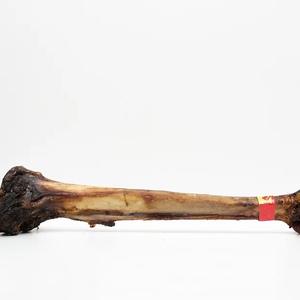 Air-Dried Ostrich Caveman Bone Over 50cm - Low Fat, High Protein Dog Treat