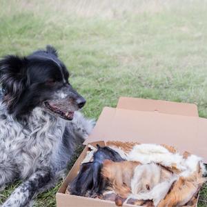 Hairy Natural Treat Box, dog treat box, contains 23 treats