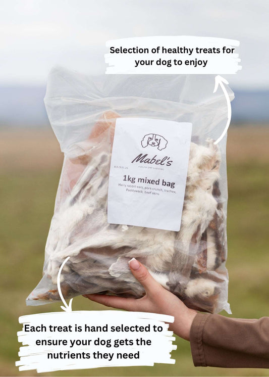 1kg High protein natural dog treat mixed bag, over 50 individual treats, beef testicles, hairy rabbit ears, achilles tendon, paddywack, camel skins