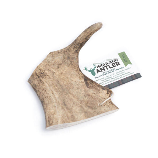 Large Fallow Antler, Long Lasting Dog Treat