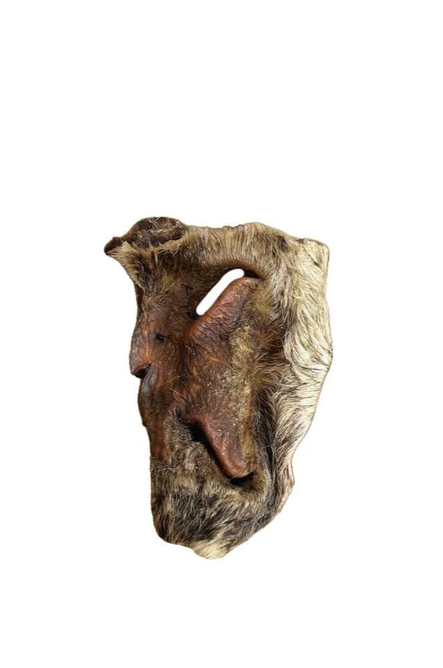 Hairy Beef Snout, 1kg bag