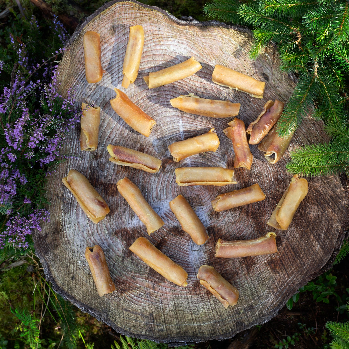 pigs in blanket dog treat on a tree trunk