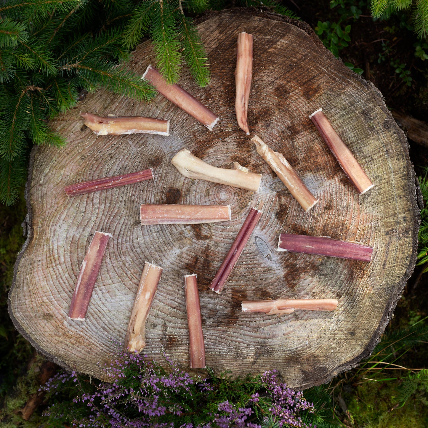 pizzle dog treats on a tree trunk