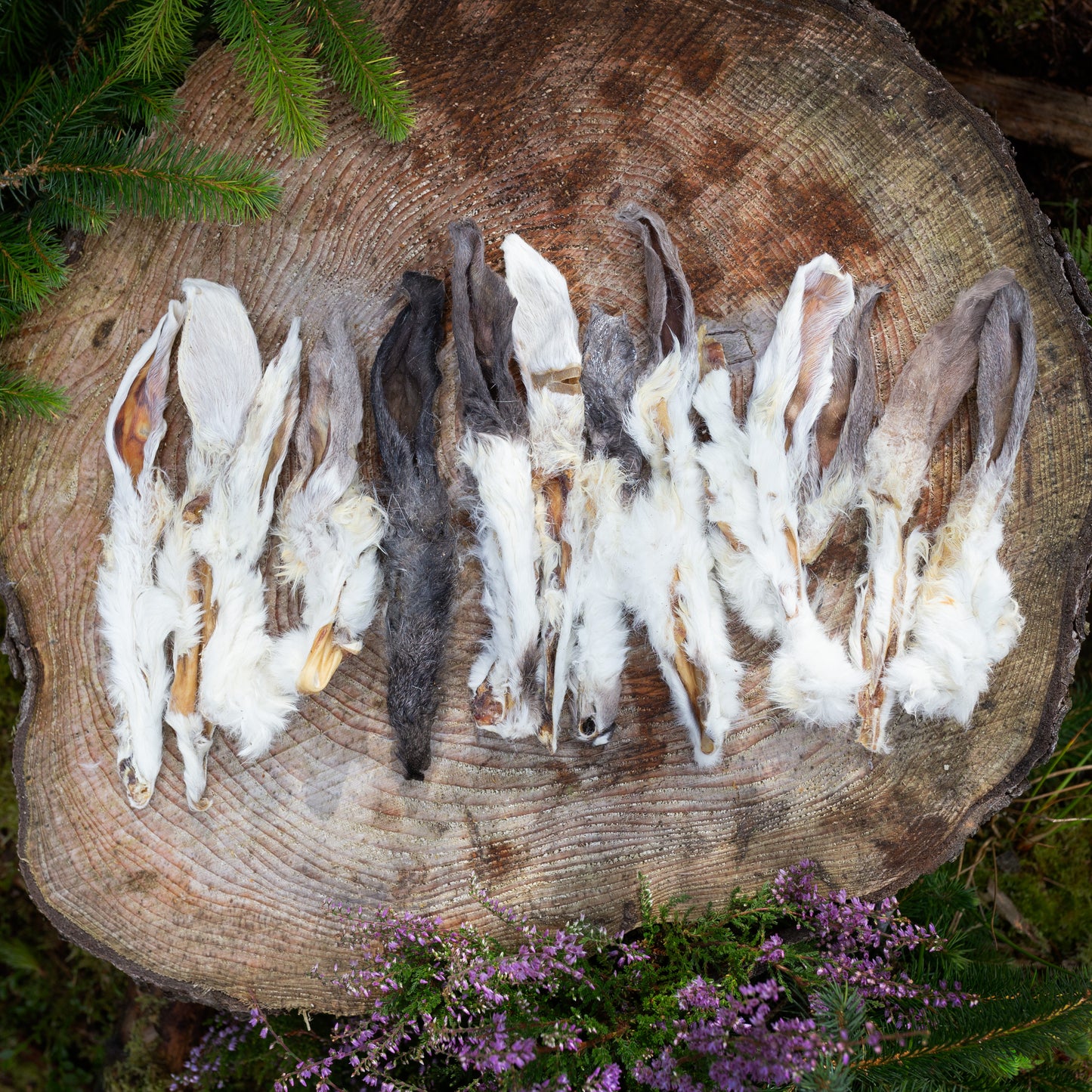 hairy rabbit ear dog treats on a tree trunk