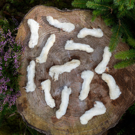 hairy rabbit feet dog treats on a tree trunk