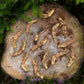 duck feet dog treats on a tree trunk