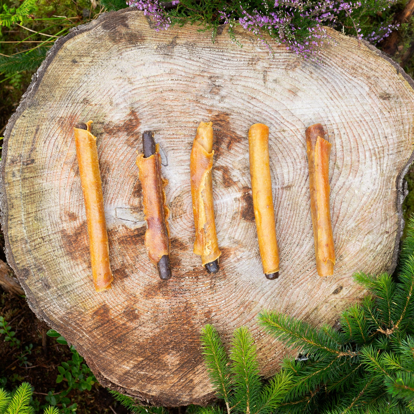 5 sausage roll dog treat on a tree trunk