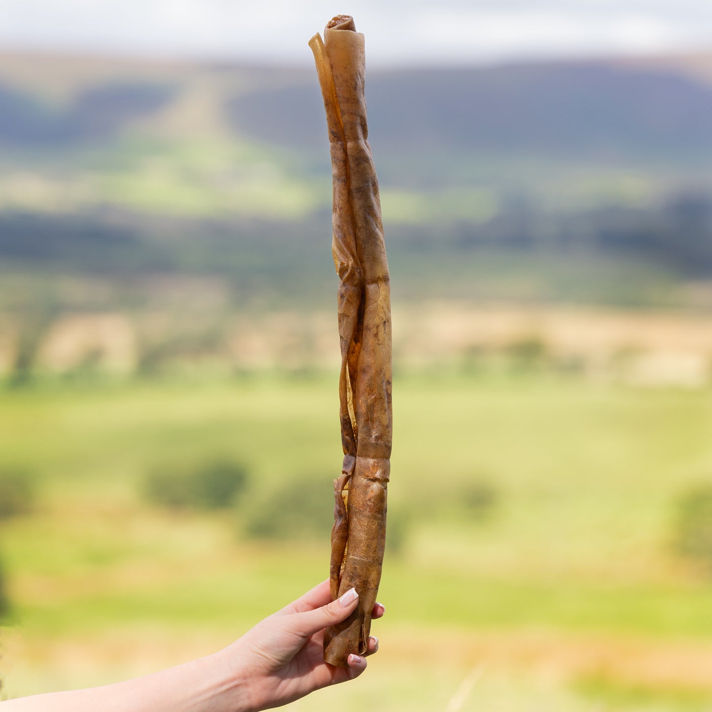 a hand holding a giant goat roll long lasting dog treat