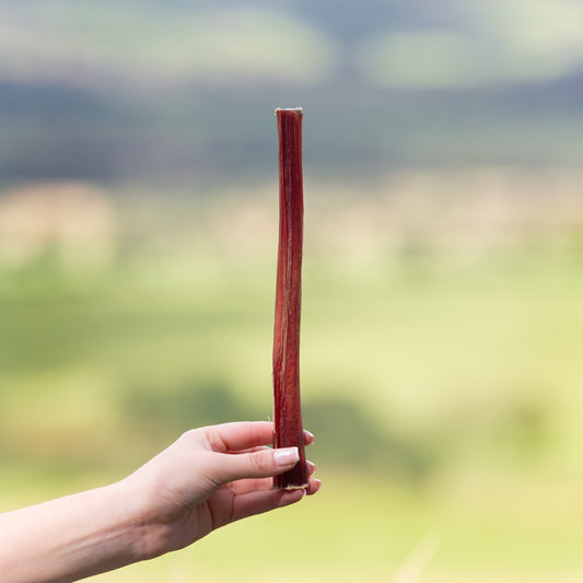 a hand holding a pizzle dog treat