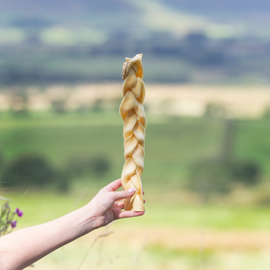 a hand holding a beef braid dog treat