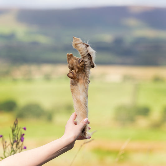 a hand holding a hairy bully leg roll dog treat