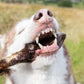 Hairy goat feet natural dog treat