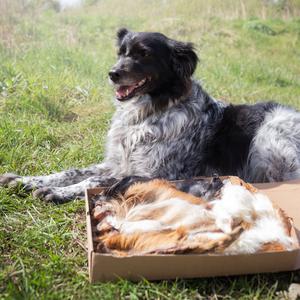 Hairy Natural Treat Box, dog treat box, contains 23 treats