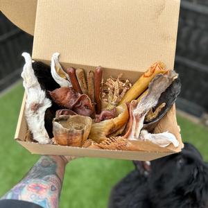 2 dog taster box