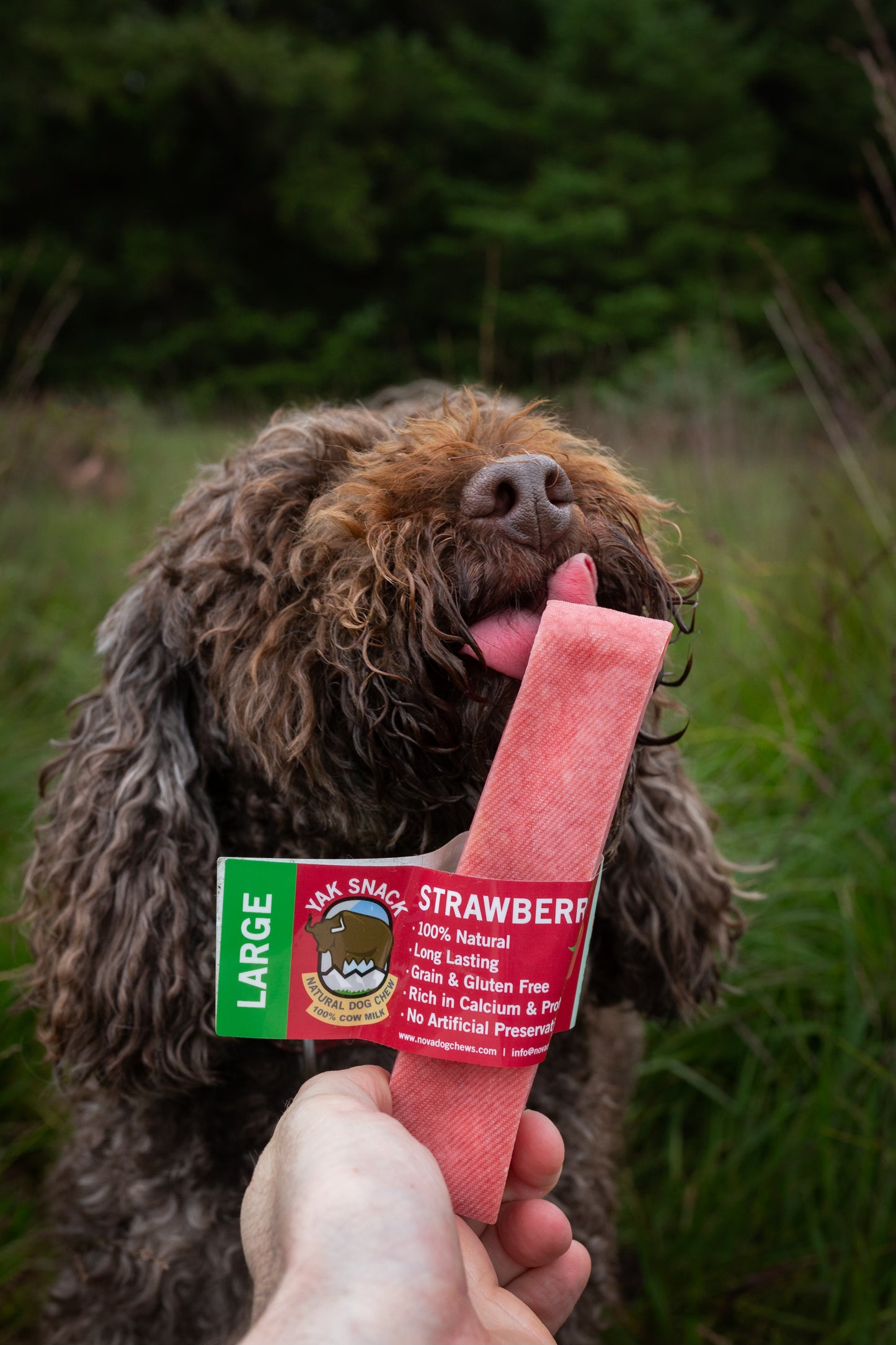 Flavoured yak snaks, Strawberry, Apple or Blueberry