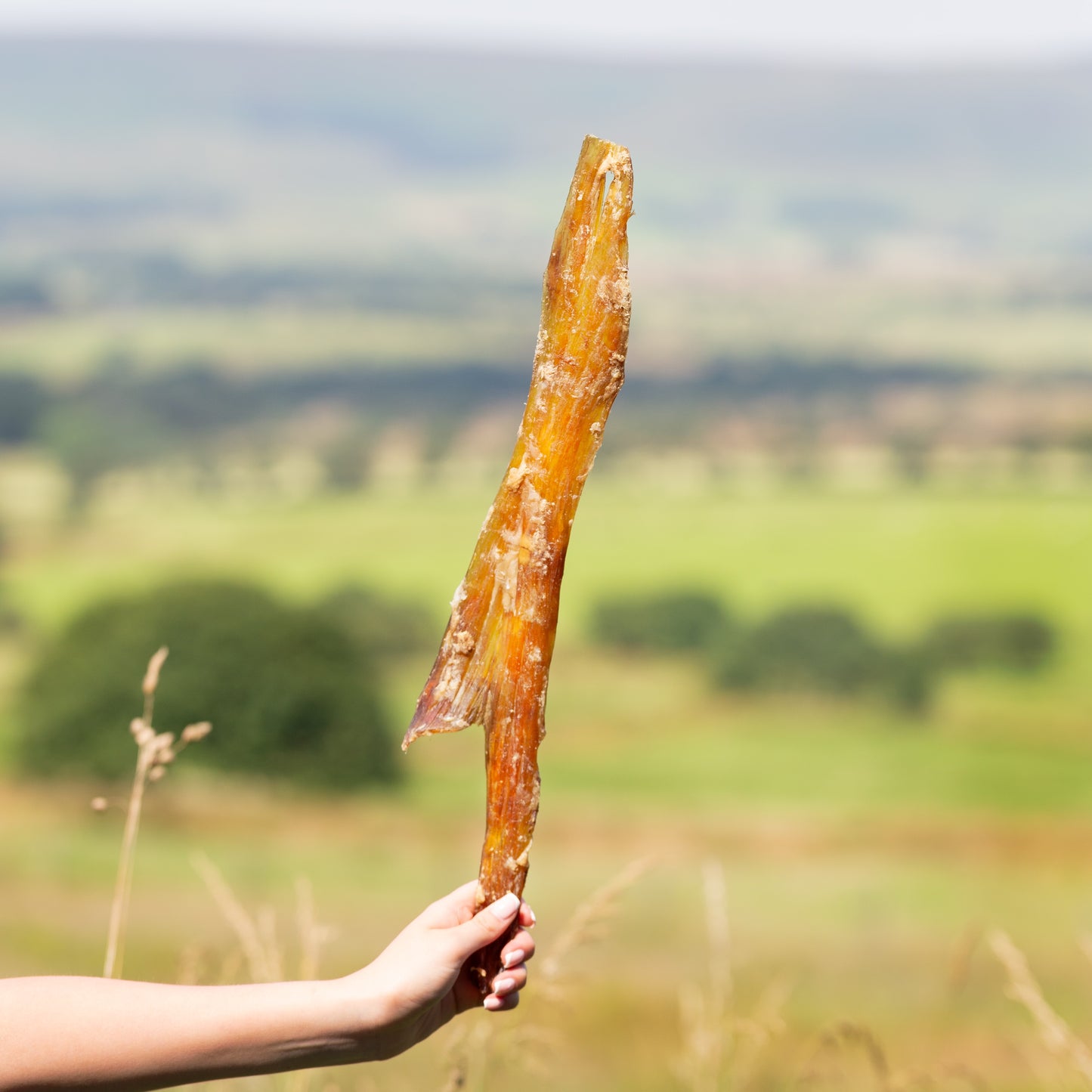 Jumbo paddywack, low fat, long lasting natural dog treat