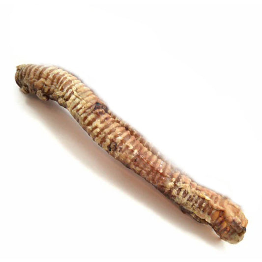 30 cm Trachea Natural Dog Treat